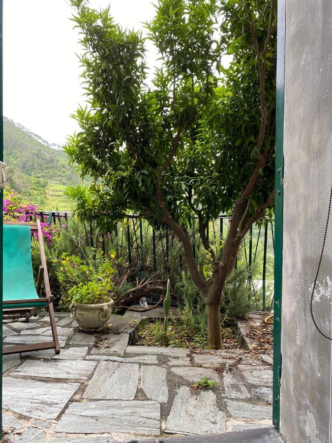 Cottage La Terrazza Levanto Exteriör bild