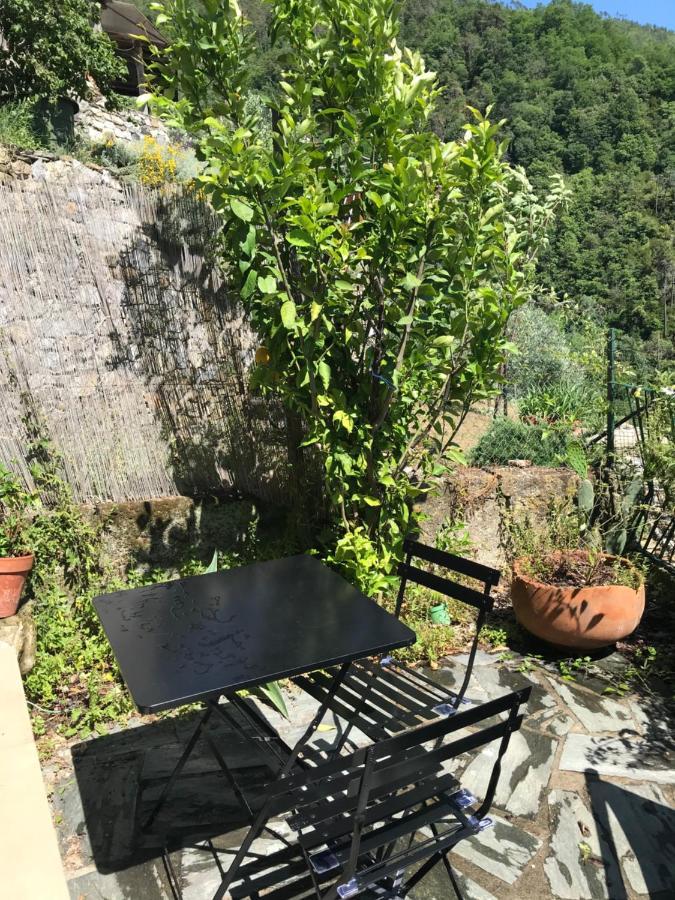 Cottage La Terrazza Levanto Exteriör bild
